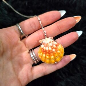 Shell necklace solid sterling